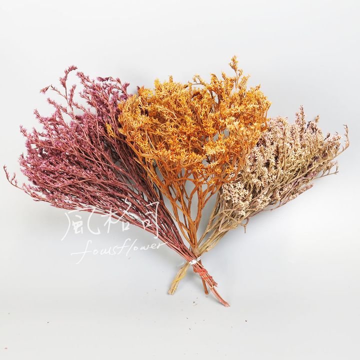 雪花紫橘-1.jpg