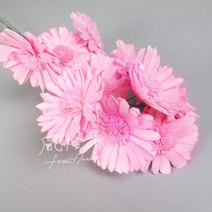 太陽花粉-1.jpg