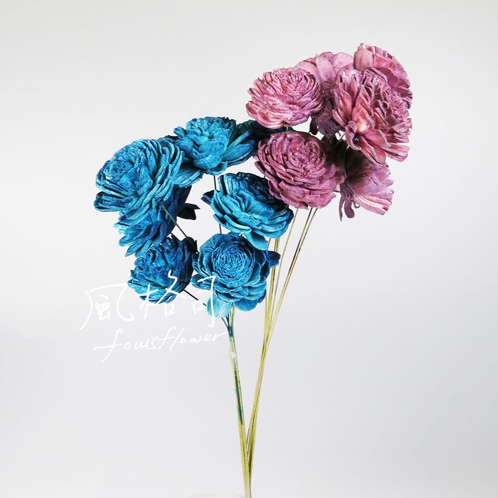 太陽玫瑰藍紫-1.jpg