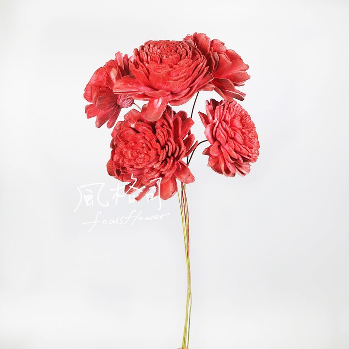 太陽玫瑰紅-1.jpg