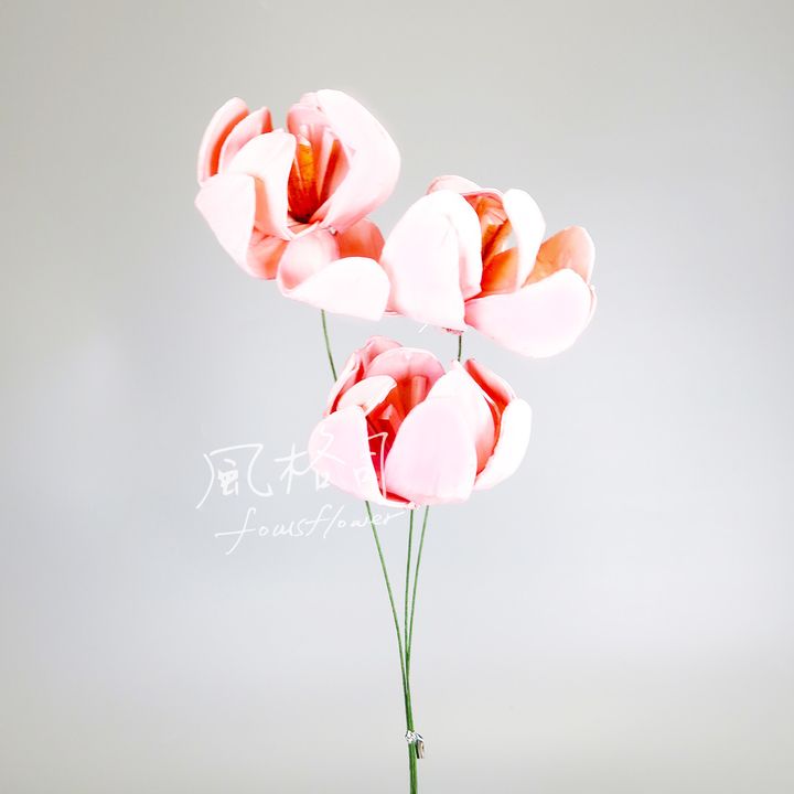 洋玉蘭刷白粉-1.jpg