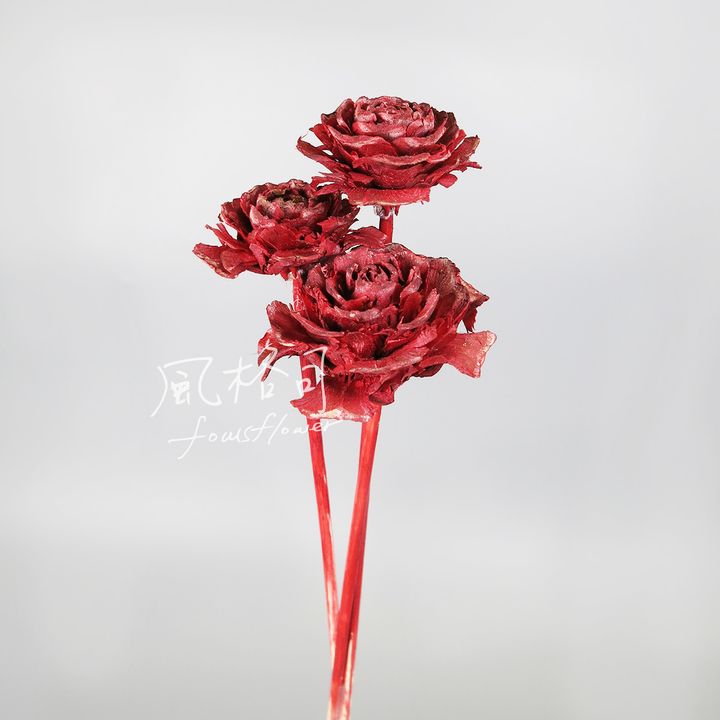 松玫瑰復古紅-1.jpg