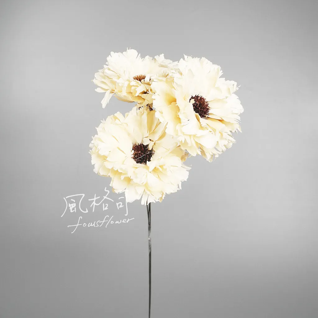 手工花大波斯菊米白 風格司花藝 手工花大波斯菊米白 風格司花藝