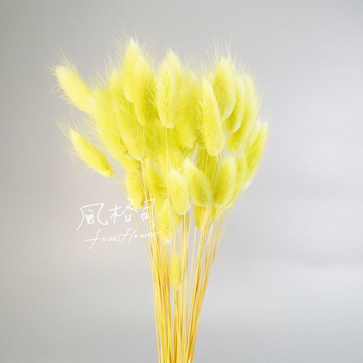 兔尾蘋果綠-1.jpg