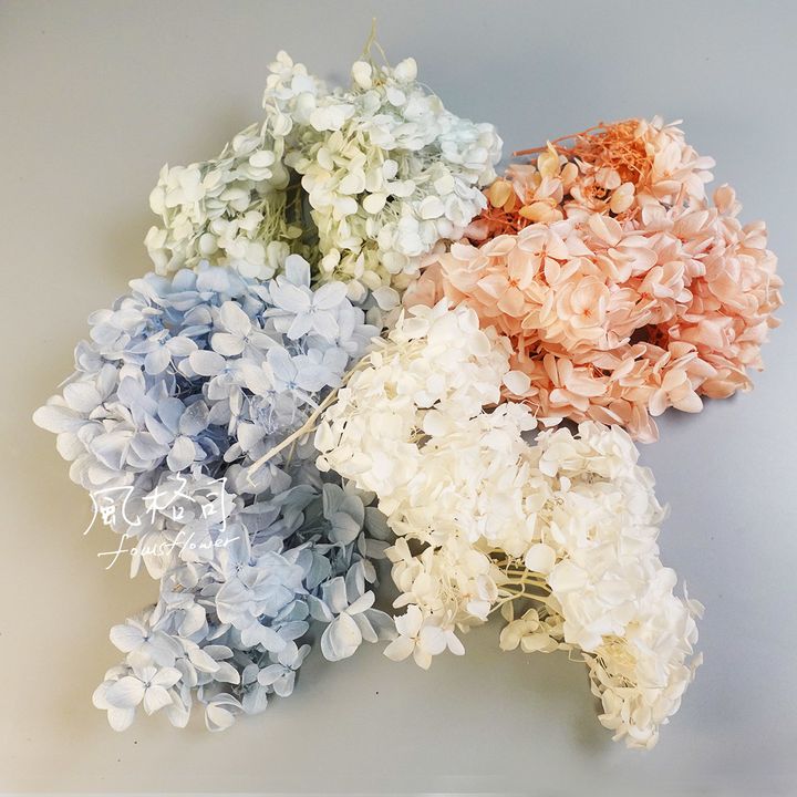 繡球花白粉綠藍-1.jpg
