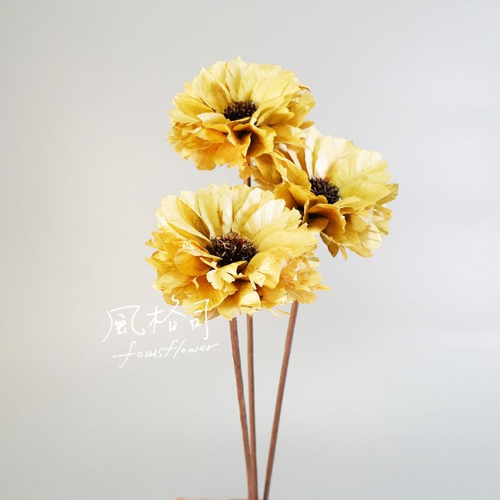 大波斯菊原色-1.jpg