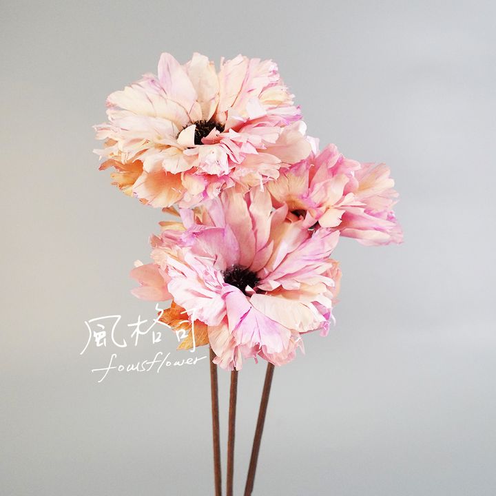 大波斯菊櫻花粉-1.jpg