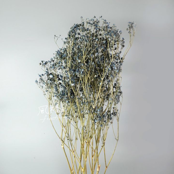 滿天星深湖藍-1.jpg