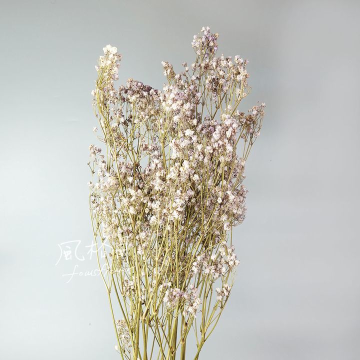 滿天星薰衣草紫-1.jpg