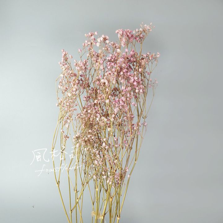 滿天星珍珠粉-1.jpg