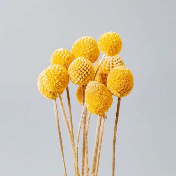金杖_4.jpg