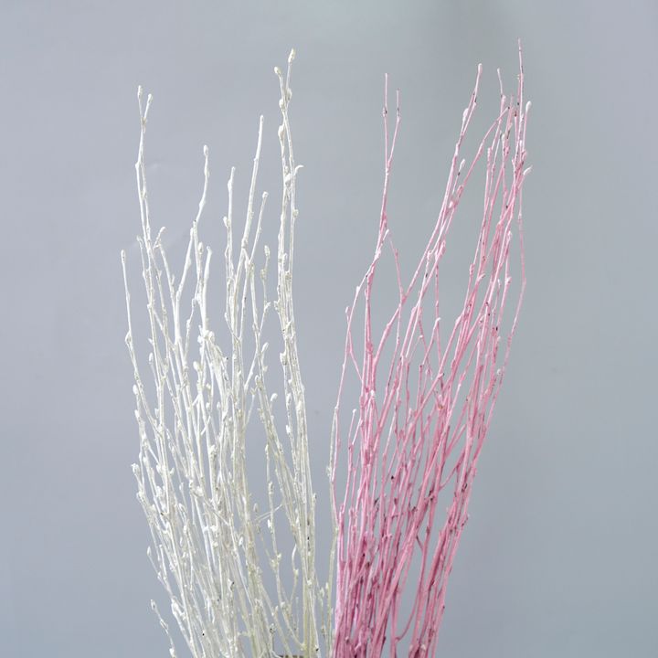 82916E13-232B-4DEC-8A1F-B6FA98AA86EB.jpeg