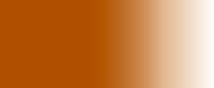 BURNT SIENNA.png