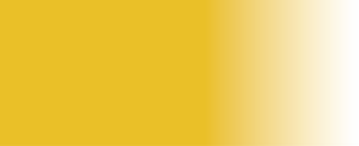 YELLOW ORCHE.png