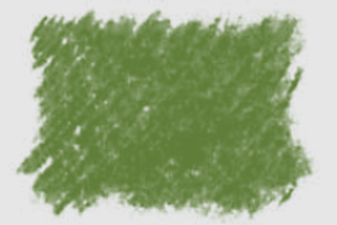 OLIVE GREEN.png