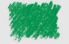 DARK GREEN.png