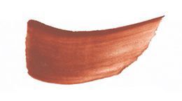 JS Burnt Sienna swatch.jpeg
