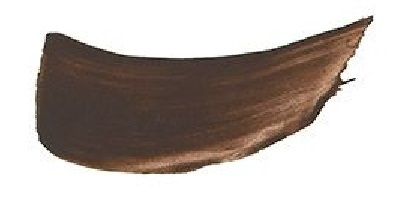 JS Burnt Umber swatch.jpeg