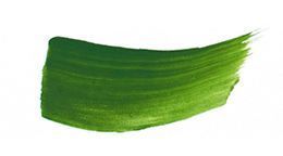 JS Pine Green.jpeg