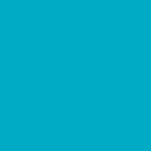B118 DARK TURQUOISE.jpg
