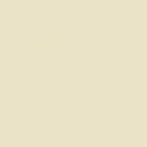 W173 PALE KHAKI.jpg