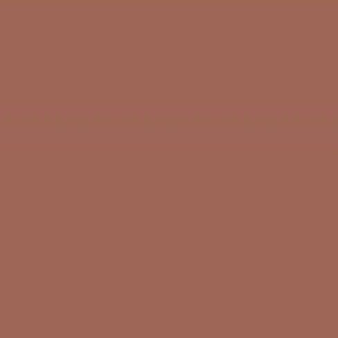 W137 BURNT UMBER.jpg