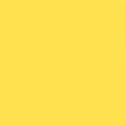 Y114 CADMIUM YELLOW.jpg