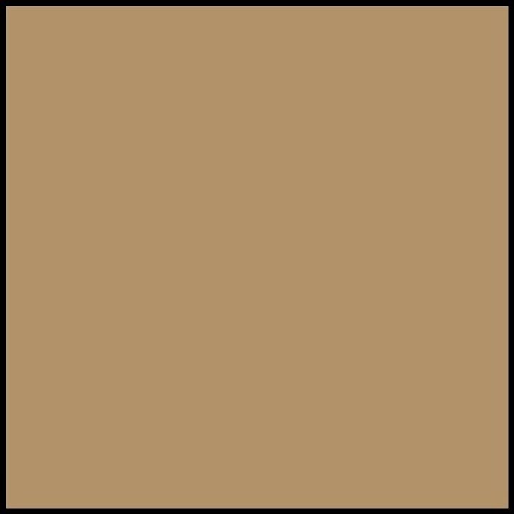 Alpha Raw umber.jpg