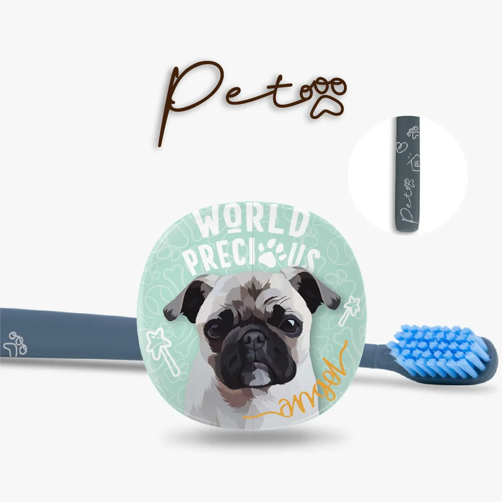 pug.jpg