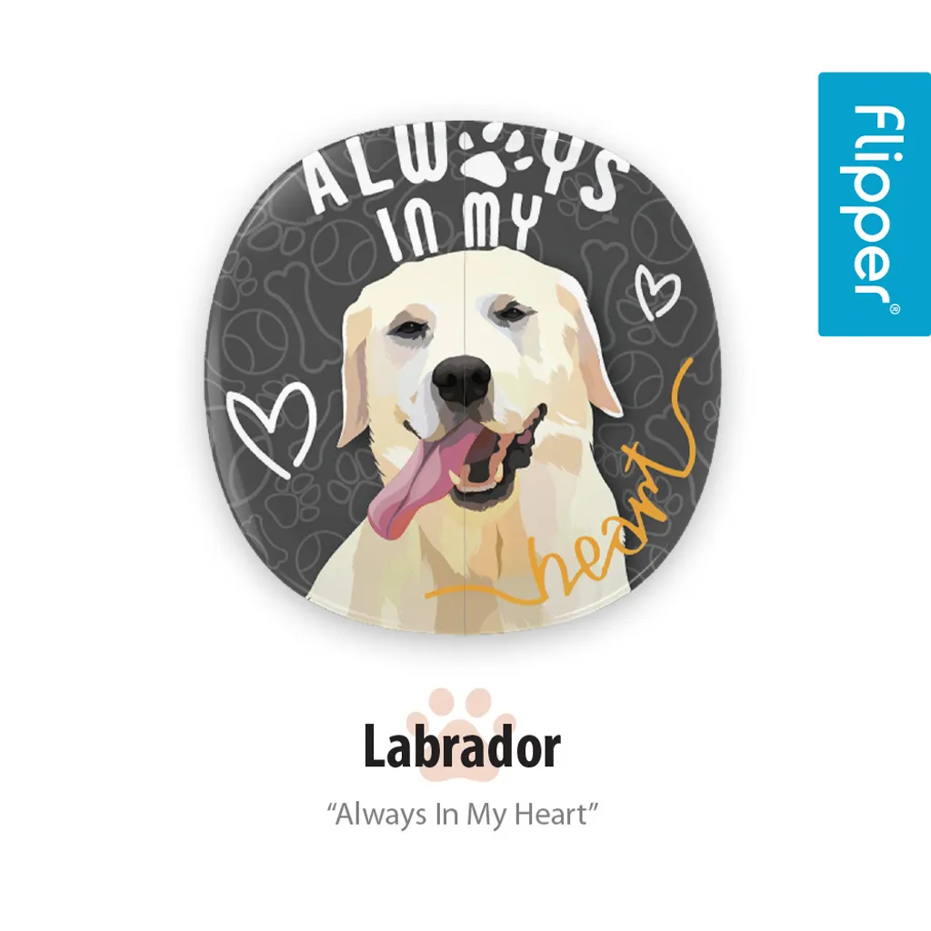 peto-labrador2.jpg