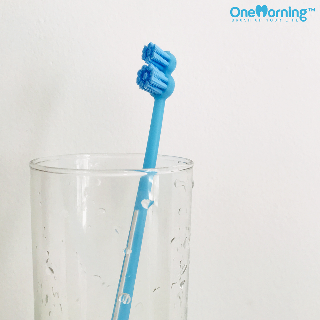 om-toothbrush-blue2.png