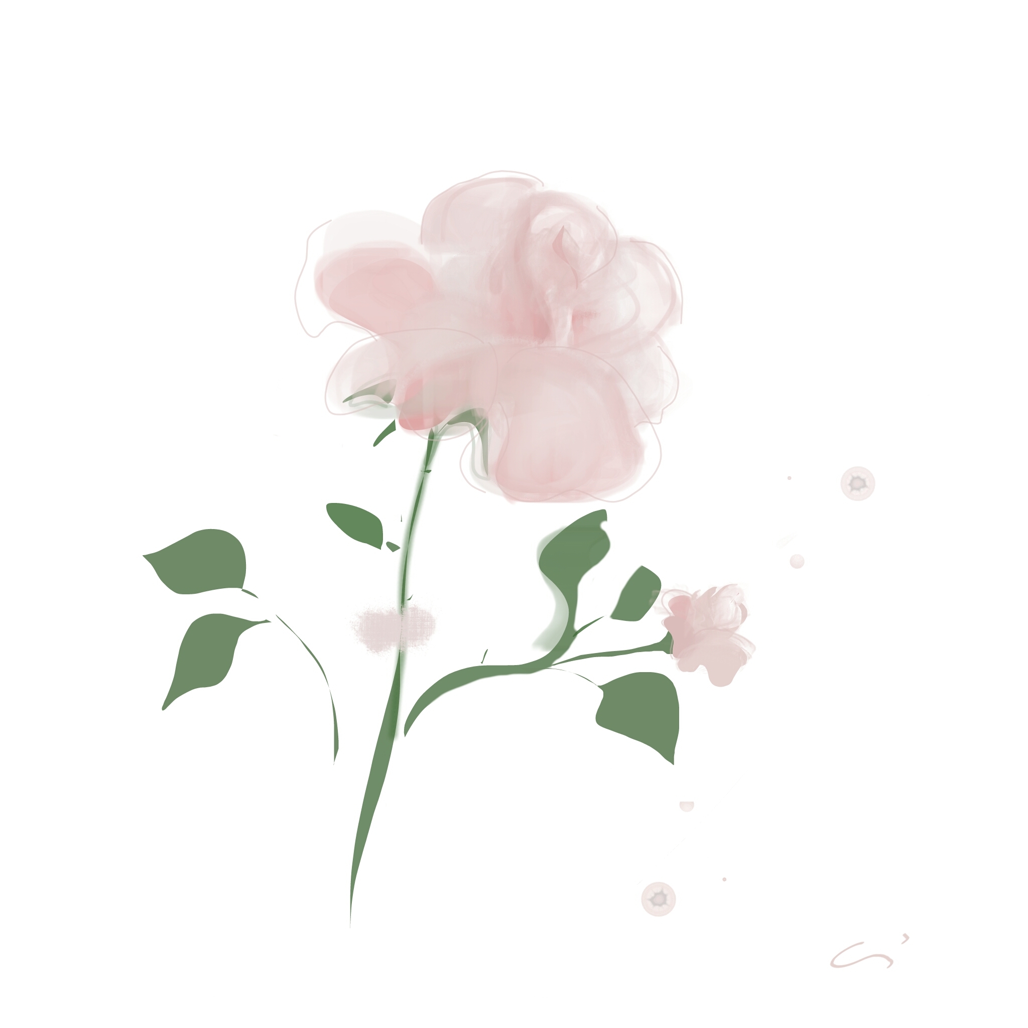 I LOVE ROSE ROSE.jpg