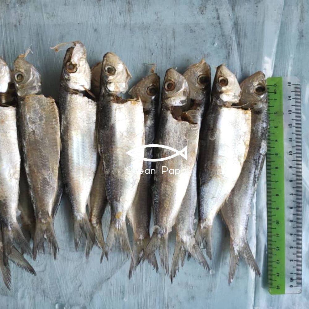 Ikan Masin Tamban Sisik Gred A (400g) - Ocean Papa – Ikan Bilis Ocean