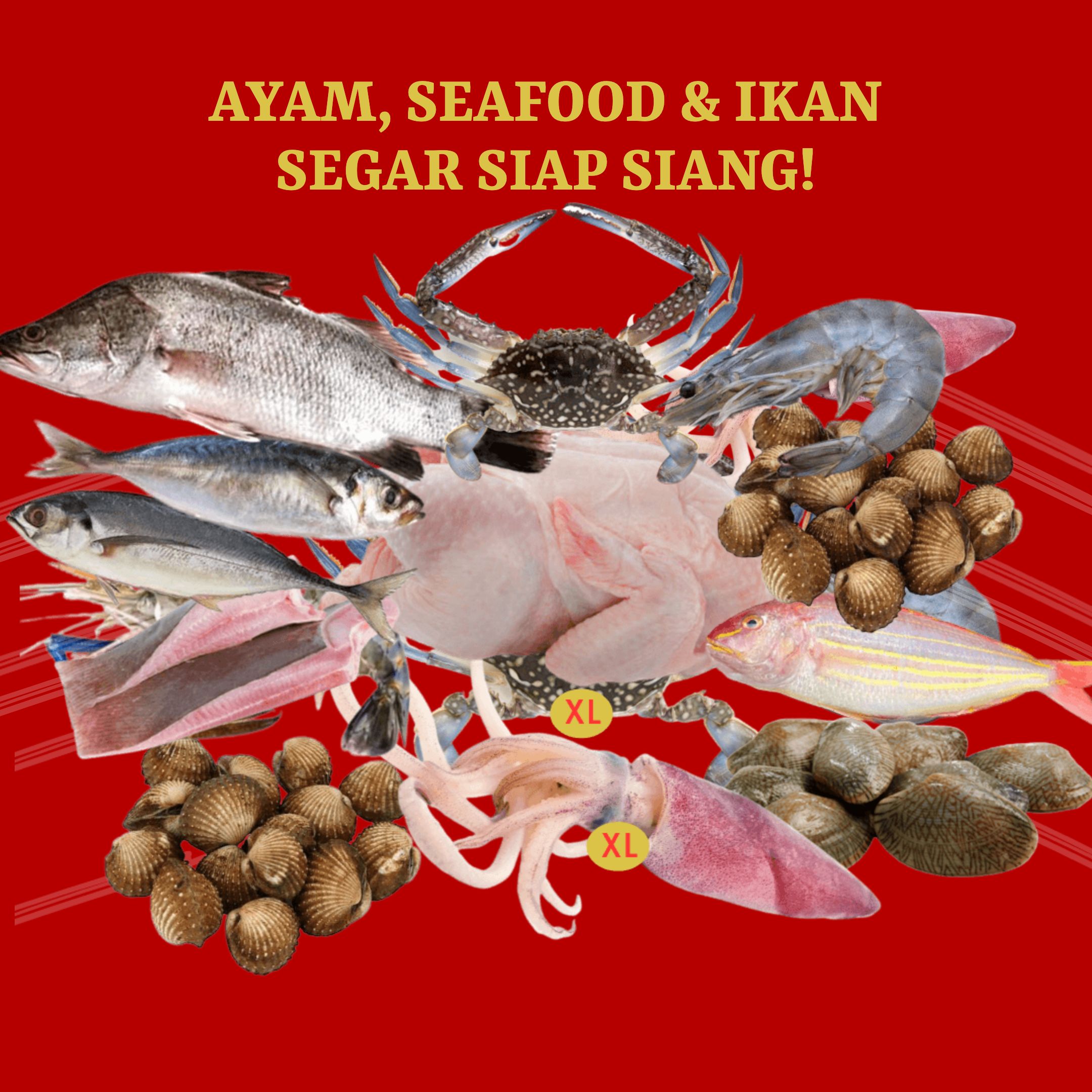 (Copy) KLIK UNTUK WHATSAPP