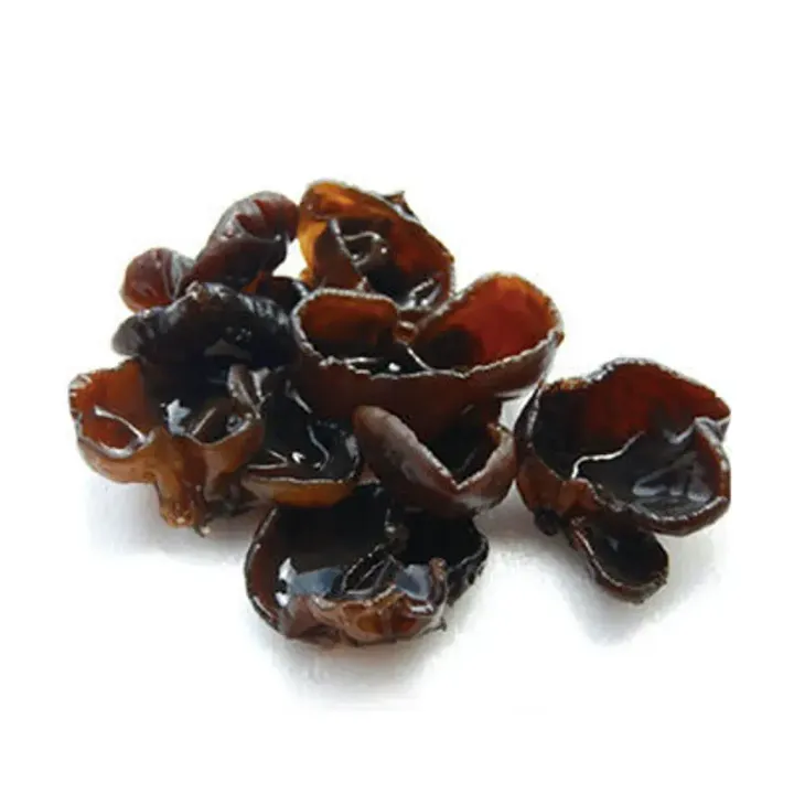 cendawan hitam daporunchet
