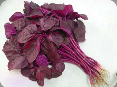 Bayam merah daporunchet