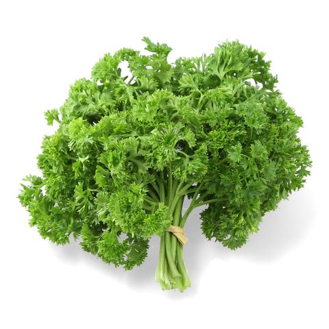 English Parsley daporunchet