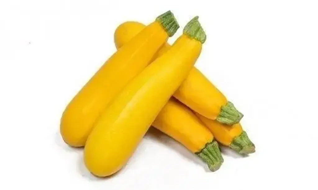 Labu Zucchini kuning