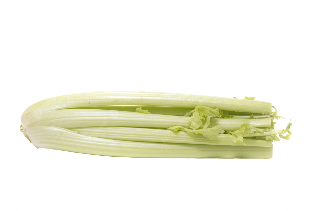 Batang saderi daporunchet