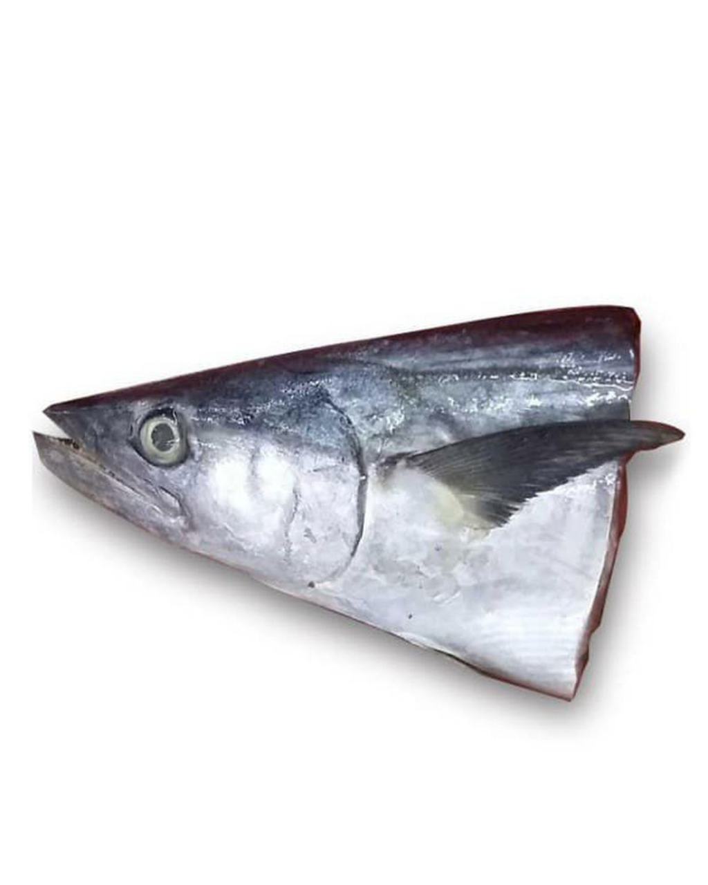 Kepala ikan tenggiri fresh daporunchet