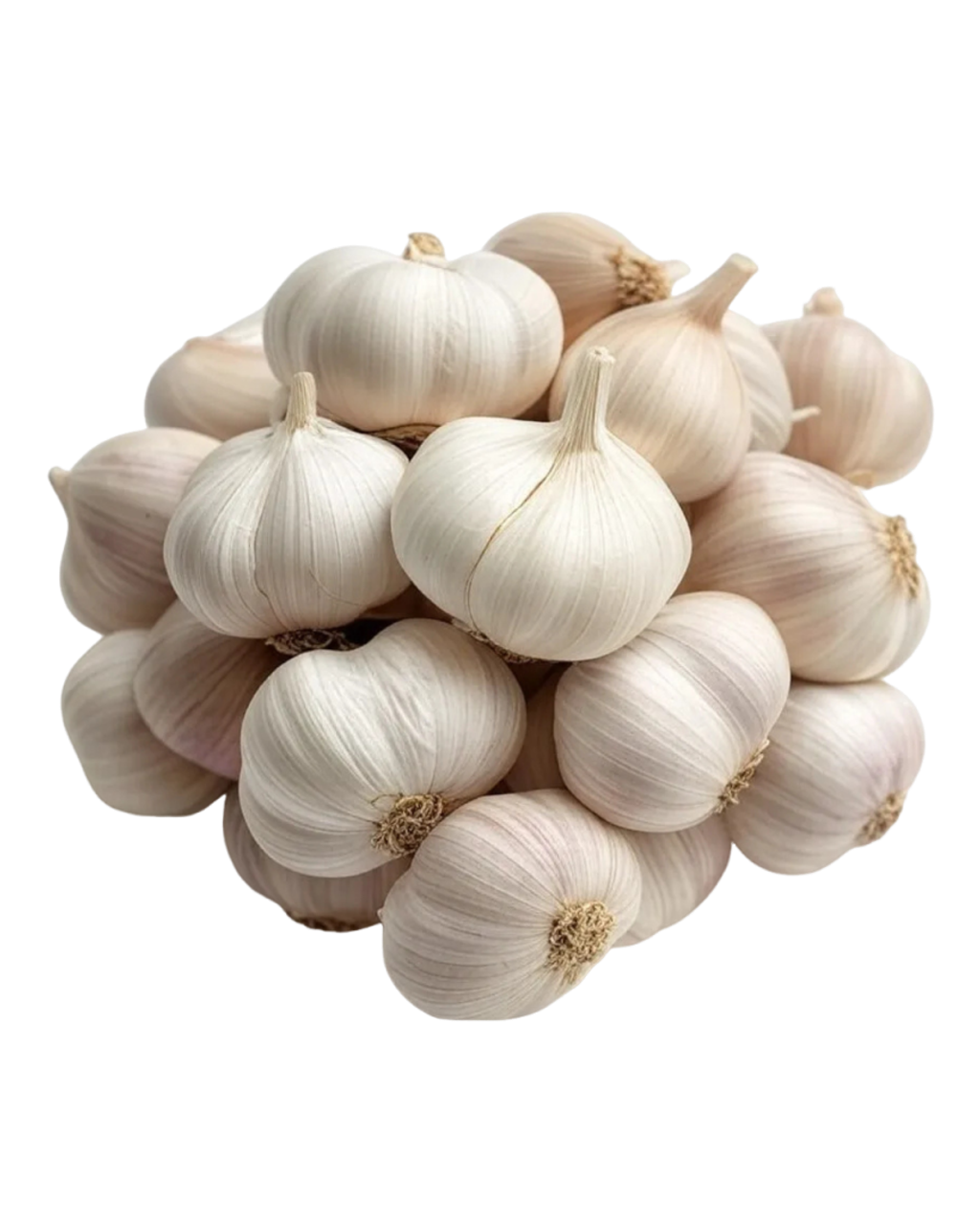 Bawang Putih Daporunchet