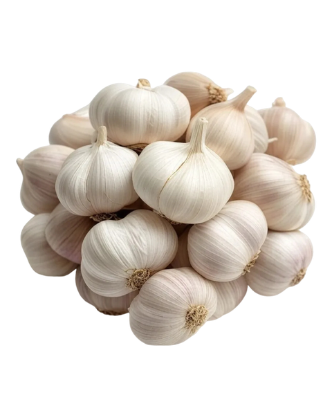Bawang Putih Daporunchet