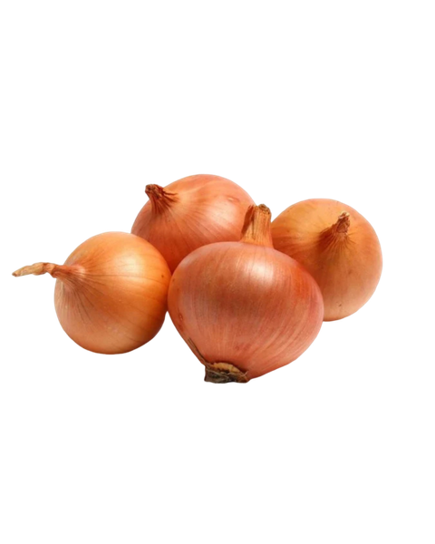Bawang Holland Segar daporunchet