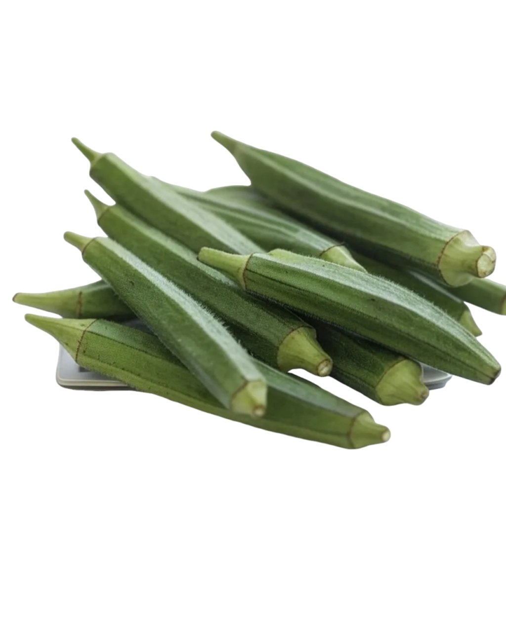 Bendi daporunchet 1 (1)