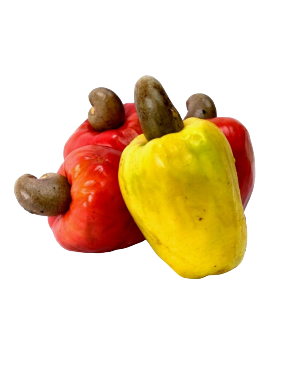 Buah gajus daporunchet (1)