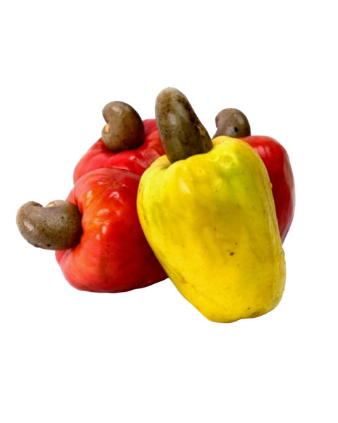 Buah gajus daporunchet (1)