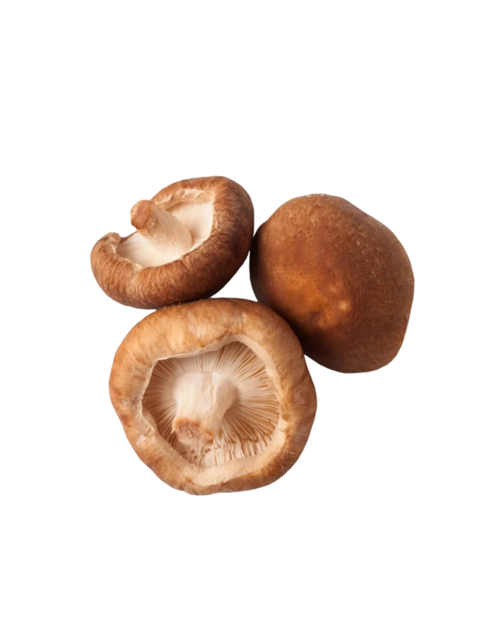 Cendawan shitake daporunchet (1)