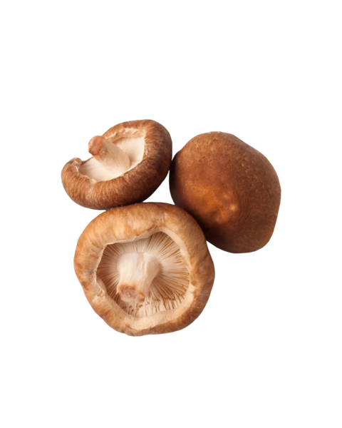 Cendawan shitake daporunchet (1)