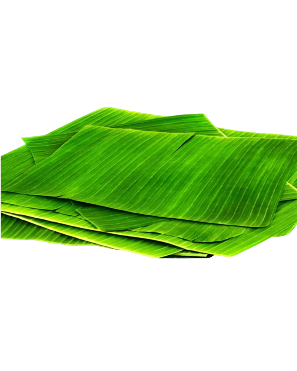 Daun pisang daporunchet (1)