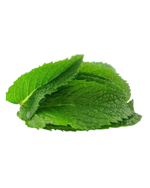 Daun pudina daporunchet (1)